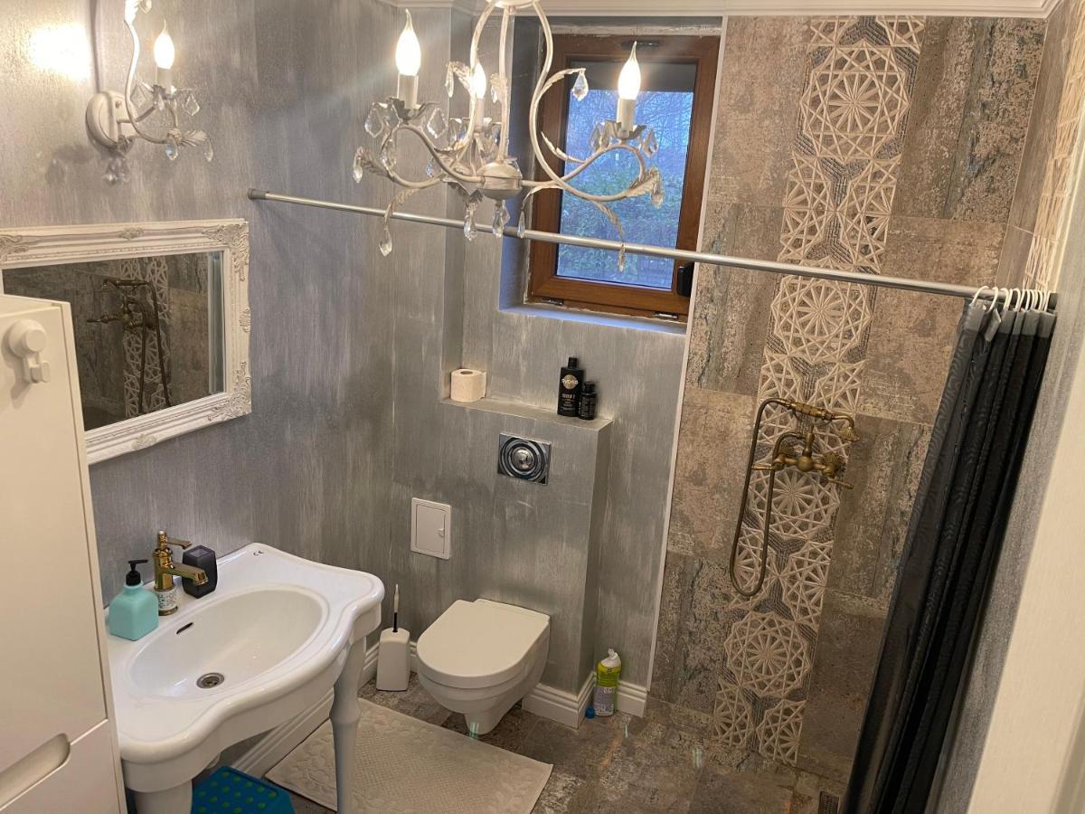 Room In A Private House - 5 Min From Therme And Airport Corbeanca Εξωτερικό φωτογραφία